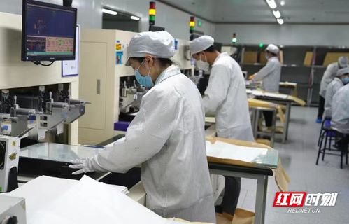 電子工匠展風采，勞務品牌促發展——冷水灘區以專業勞務品牌助力就業與產業雙贏